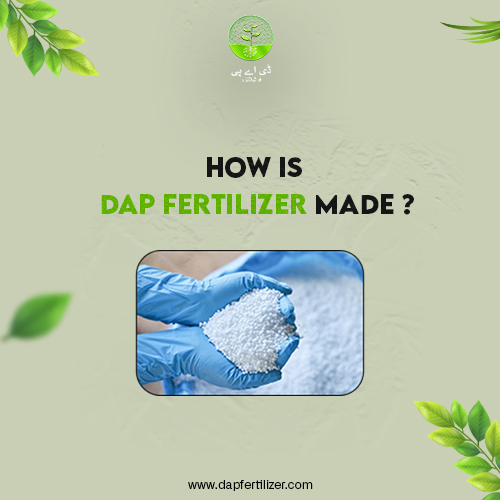 how dap fertilizer is made